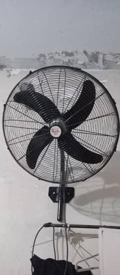 wall