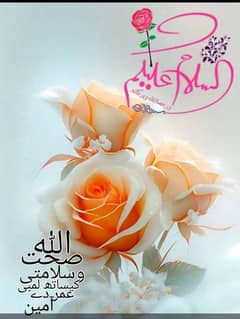 میں ایک تجربہ کار گھریلو ڈرائیور ہوں اور کام کی تلاش ہے