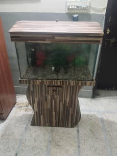 fish