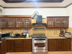 39 Solid Diyar Wooden Cabinet Doors | Strong & Polished (NEGOTIABLE)