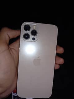 iPhone 12 Pro Lush Condition