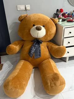 Teddy Bears/Big Size Teddy Bear/Stuff Toys/Birthday/anniversary Gift