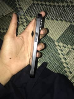 Apple 13 pro