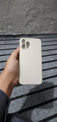 IPHONE12PRO MaX