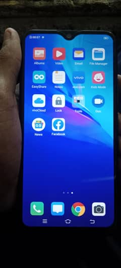 vivo