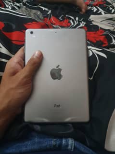 iPad Mini 2