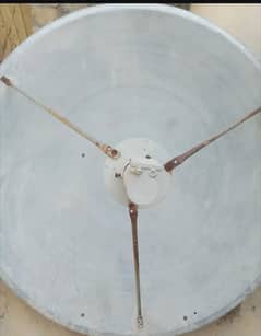 dish