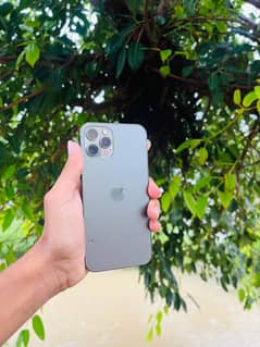 iPhone 12 Pro Lush Condition