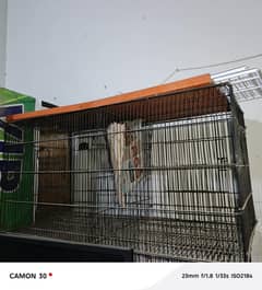 sales hen cages