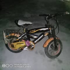 cycle all ok