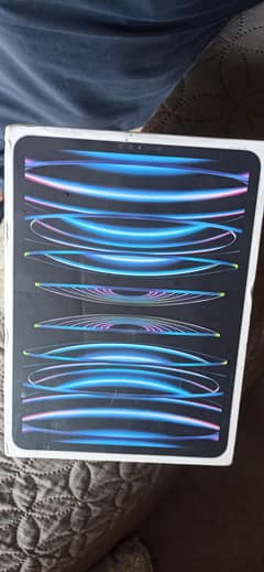 Ipad pro m2 cellular +WiFi 128gb