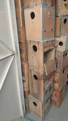 Love Bird Box
