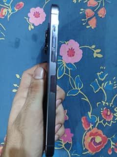 14 pro max 256 jv 10\10 all ok bilkul lash pash peice ha