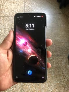 Vivo