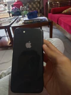 iphone 8