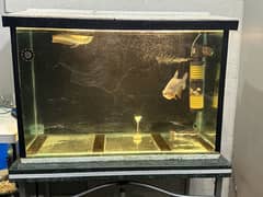 3ft Aquarium with gravel