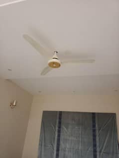 1 selling fan