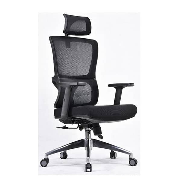 Eaze High Back Executive Mesh Office Chair 8903 - Ideal for Long Hours