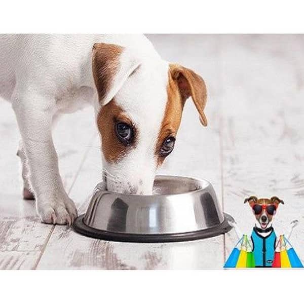 30fbs 30 cm Stainless Steel Pet Food and Water Bowl – Durable Feeder for Dogs, Cats, and Puppies with Non-Skid Rubber Base