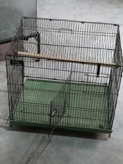love birds cage