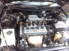 Toyota Corolla XE Gli 1.6 1995
