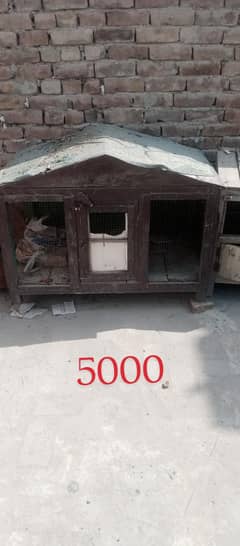 buhat he mazbut haa 03007356046