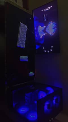wall