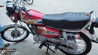 hunda