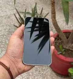 12pro