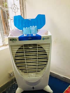 Boss Cooler