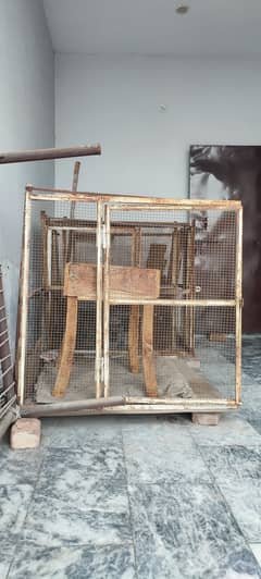 Birds cages