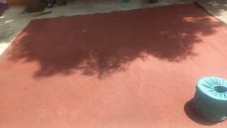 carpet