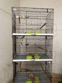 1.5x1.5x2.5 cage 3 portions for Sale