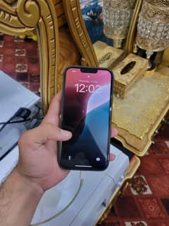 iphone 13 pro max pta approved