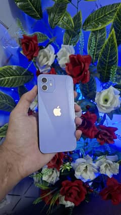 I phone 12 non PTA 128 GB