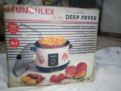 Deep Fryer