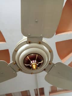 GFC Ceiling Fan – Gently Used (Only 6 Months) original copper wire