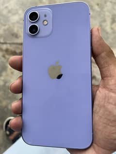 I phone 12