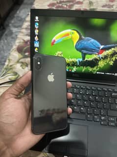 iPhone
