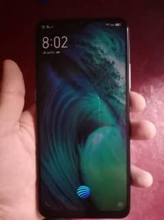 vivo