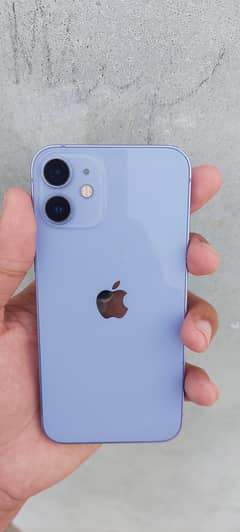 iphone 12 mini