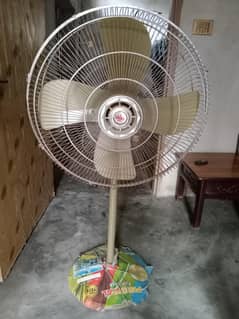 fan for sal hai lucky company