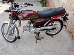CD70cc