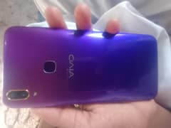 vivo