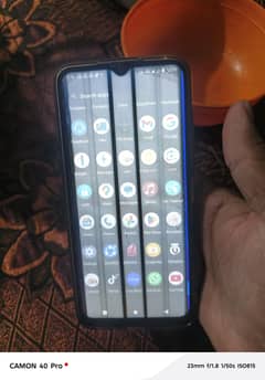 vivo
