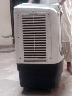 Plastic body cooler small fully functional