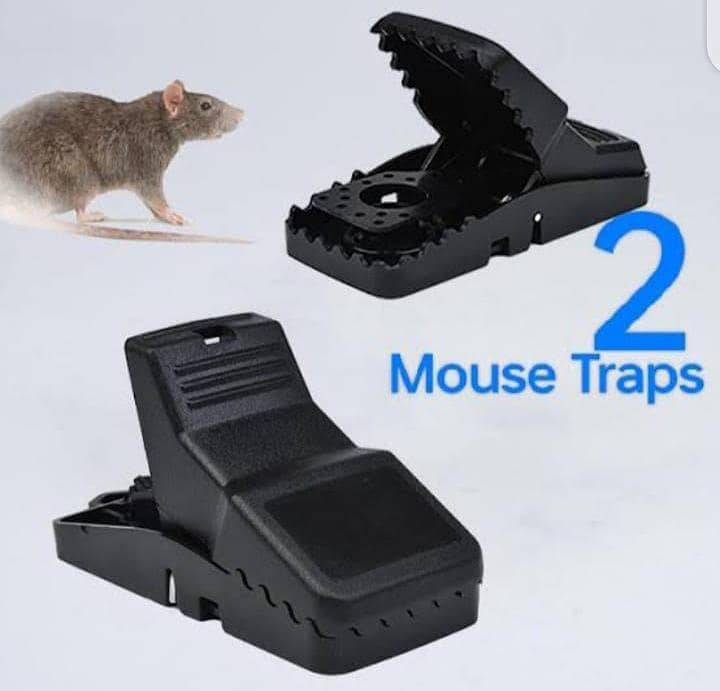 trap of mouse message on this number 03319106704 2