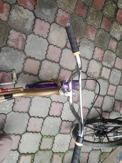 20 size cycle