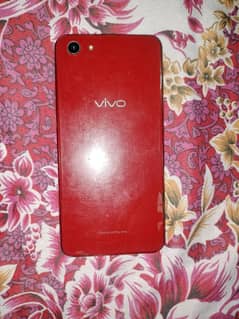 VIVO