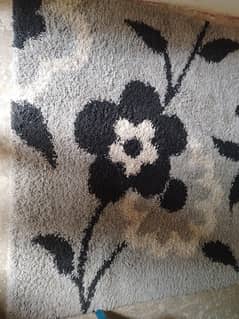 carpet for sale